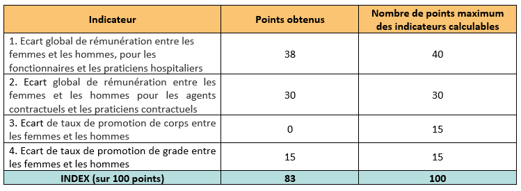tableau index égalité homme-femme